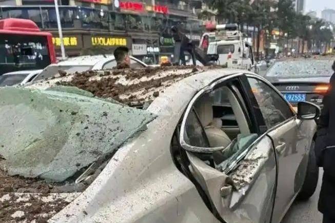 放鞭炮爆炸天价赔偿辟谣！雷克萨斯车主已获免费代步车！